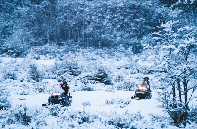 Motos de nieve entre el bosque nevado durante el día