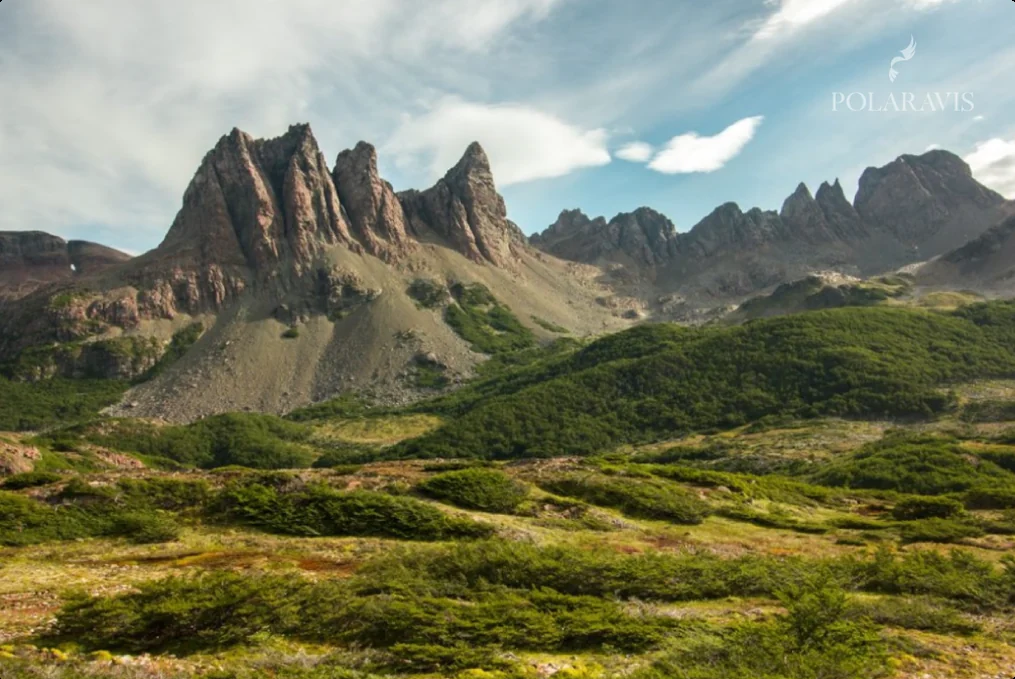 Cordón de los Dientes de Navarino sobre turbales y bosque, en la isla Navarino, Chile