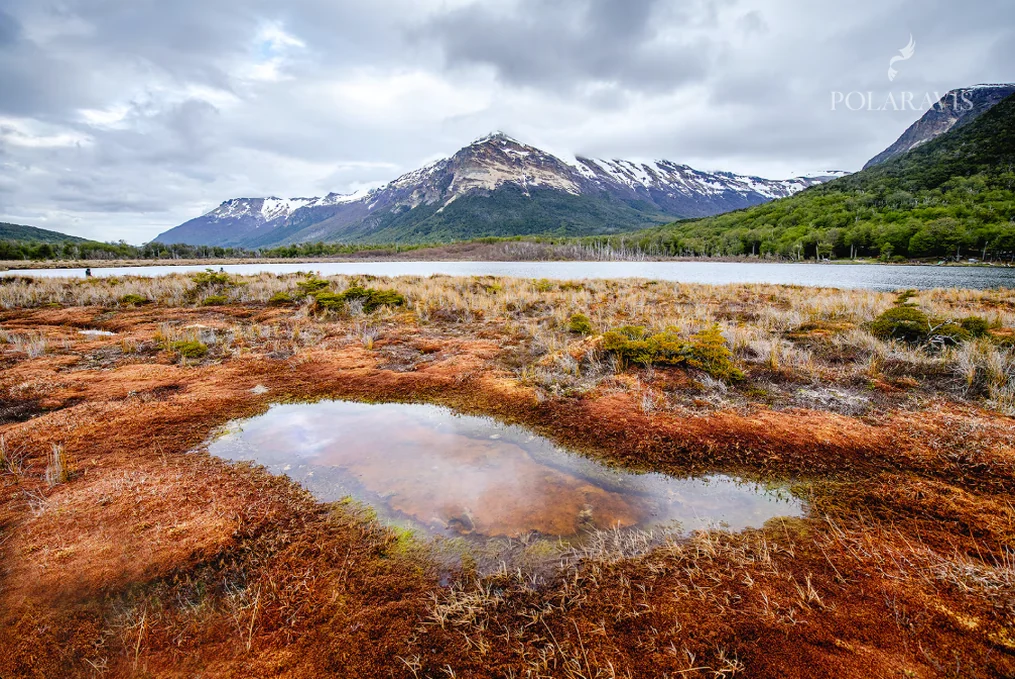 Valle de turbera con una laguna y montañas nevadas de fondo, Tierra del Fuego