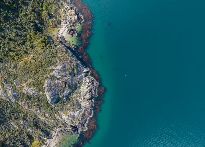 Costa del Canal Beagle con vegetación y agua turquesa vista desde el aire