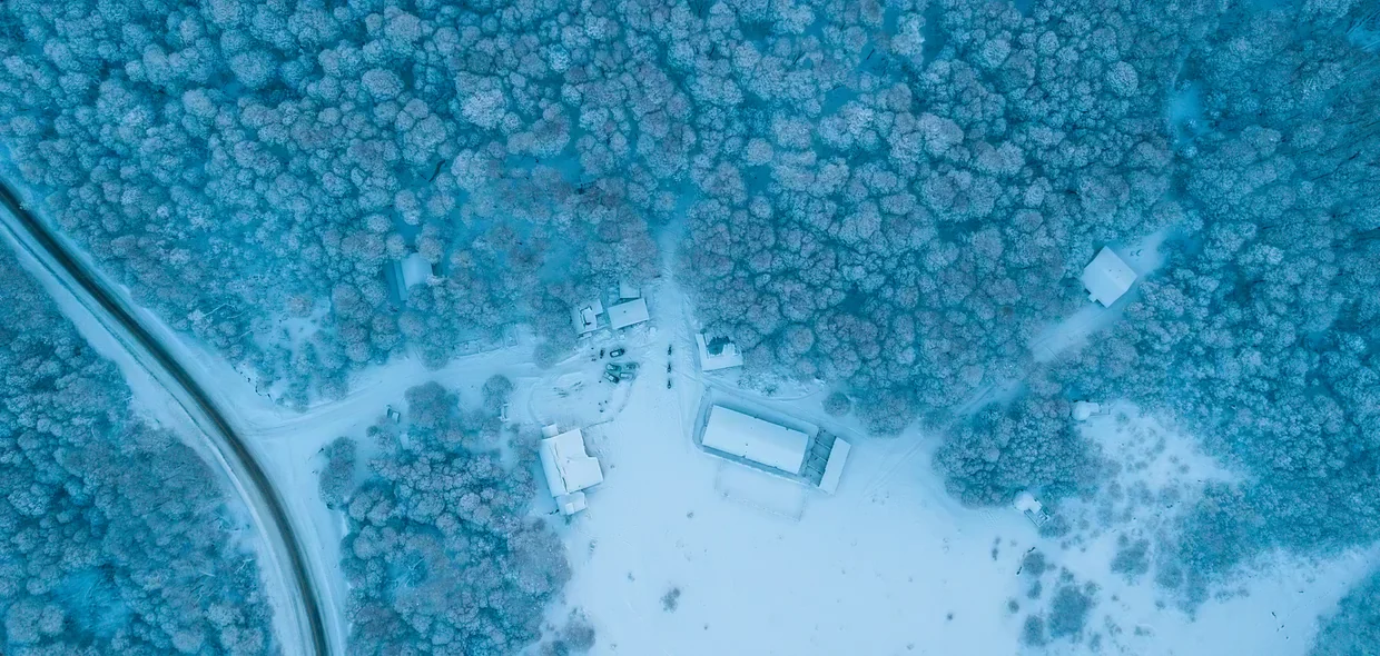 Vista aérea del bosque nevado con el complejo entre los árboles