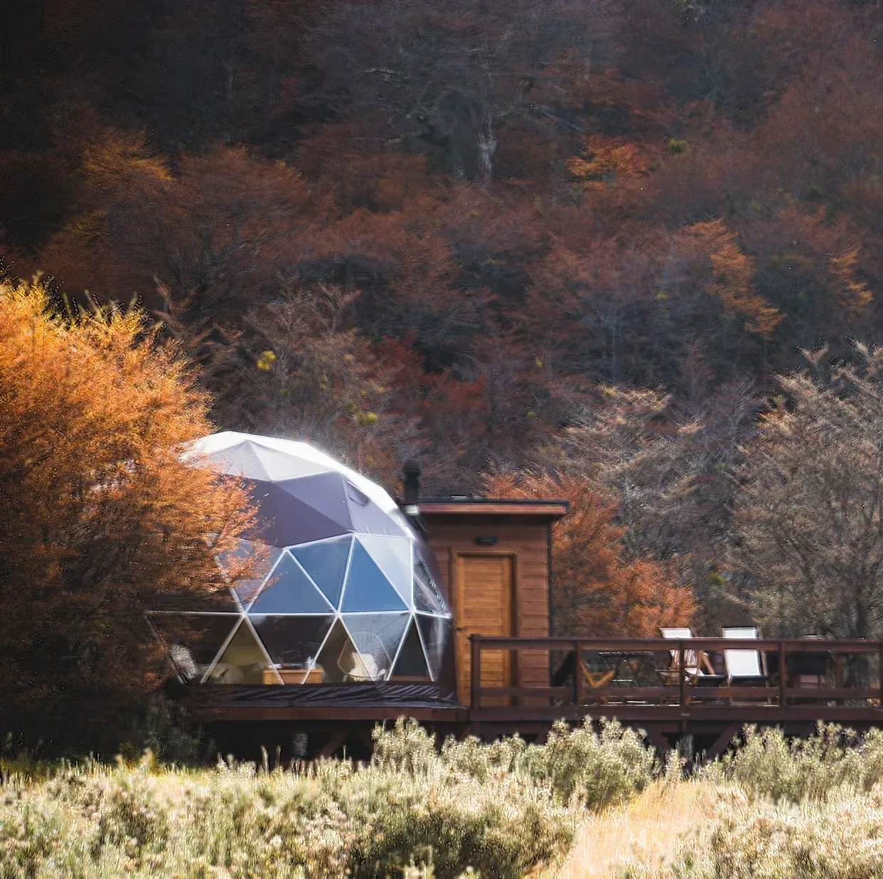 Domo y cabaña dentro del bosque de lengas en otoño